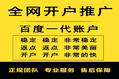 百度优化推广案例剖析：某电商平台的成功之路